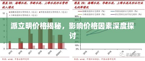 派立明价格揭秘，影响价格因素深度探讨