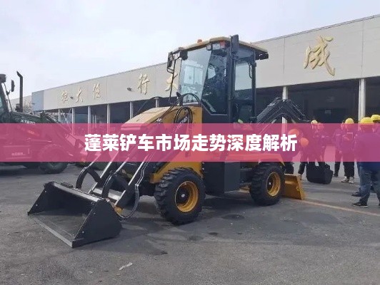 蓬莱铲车市场走势深度解析