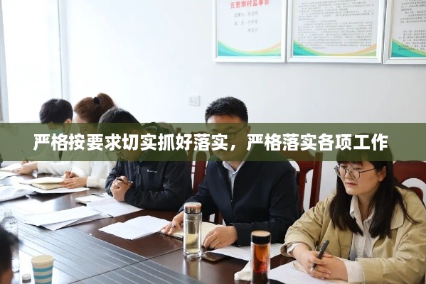 严格按要求切实抓好落实，严格落实各项工作 