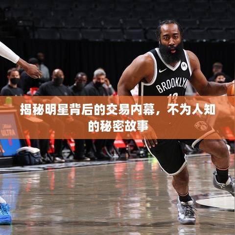 走进远奥 第14页