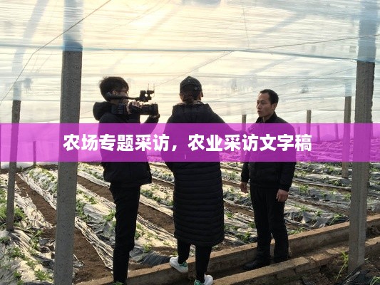 农场专题采访，农业采访文字稿 