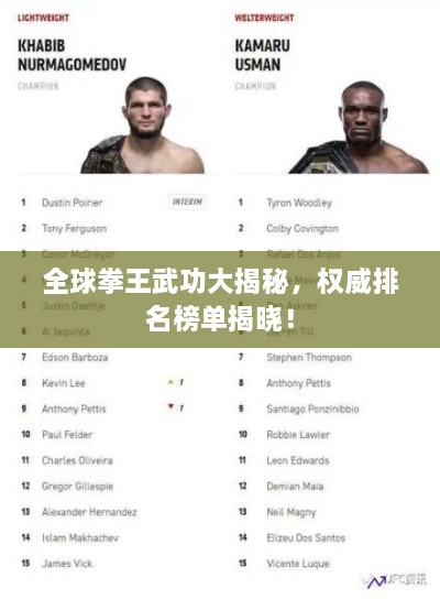 全球拳王武功大揭秘，权威排名榜单揭晓！