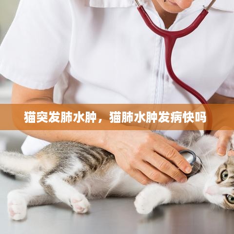 猫突发肺水肿，猫肺水肿发病快吗 
