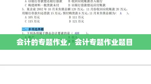 会计的专题作业，会计专题作业题目 