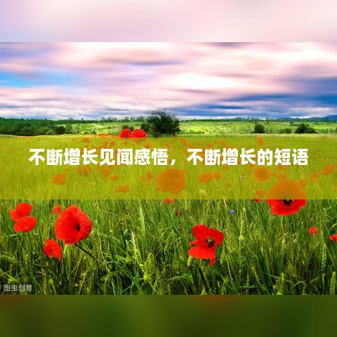 产品百科 第11页