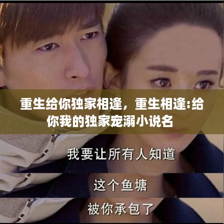 重生给你独家相逢，重生相逢:给你我的独家宠溺小说名 