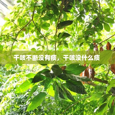 干咳不断没有痰，干咳没什么痰 