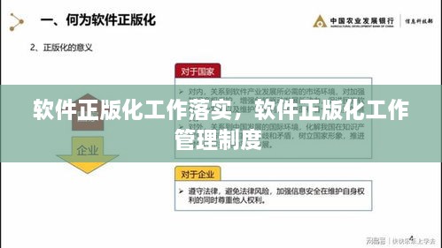软件正版化工作落实，软件正版化工作管理制度 