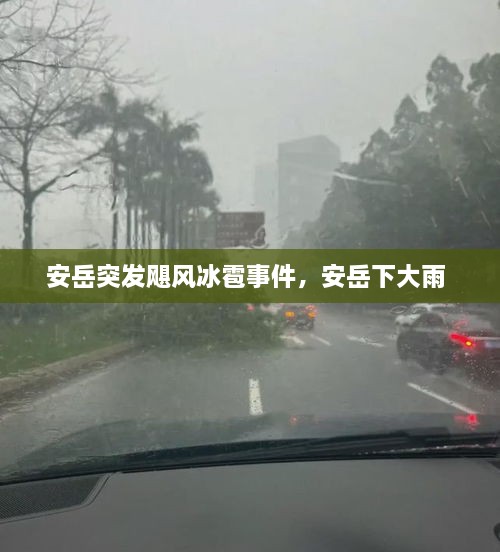 安岳突发飓风冰雹事件，安岳下大雨 