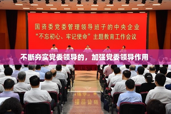 不断夯实党委领导的，加强党委领导作用 