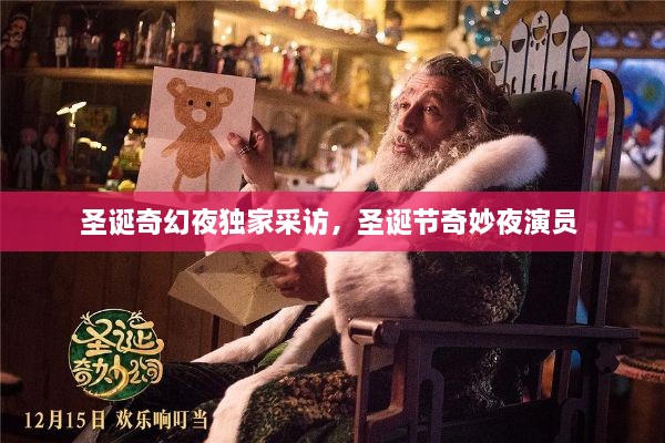 圣诞奇幻夜独家采访，圣诞节奇妙夜演员 