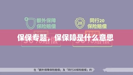 保保专题，保保障是什么意思 