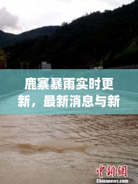 鹿寨暴雨实时更新，最新消息与新闻报道