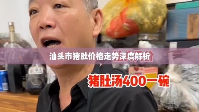 汕头市猪肚价格走势深度解析