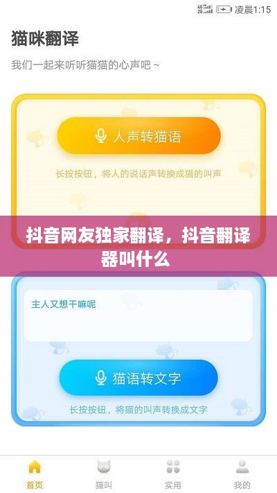 抖音网友独家翻译，抖音翻译器叫什么 