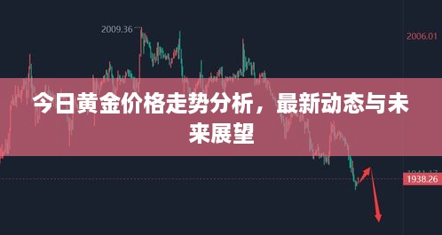 今日黄金价格走势分析，最新动态与未来展望