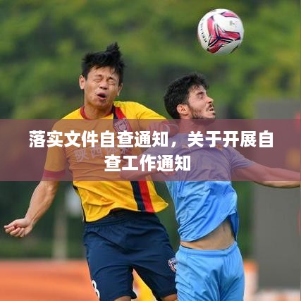 落实文件自查通知，关于开展自查工作通知 