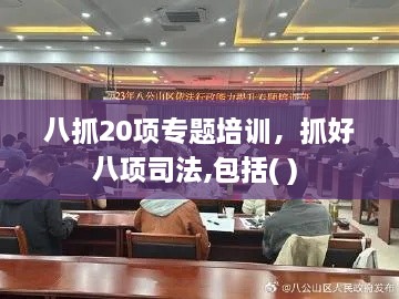 八抓20项专题培训，抓好八项司法,包括( ) 