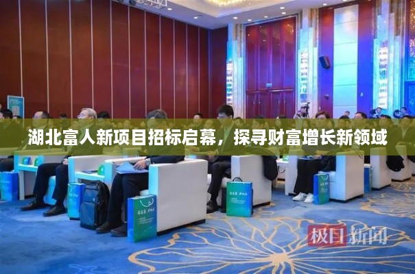 湖北富人新项目招标启幕，探寻财富增长新领域