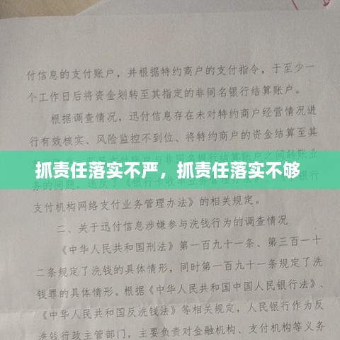 抓责任落实不严，抓责任落实不够 
