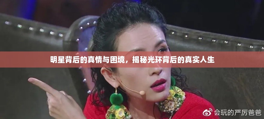 明星背后的真情与困境，揭秘光环背后的真实人生