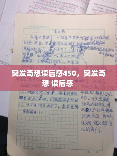 突发奇想读后感450，突发奇想 读后感 