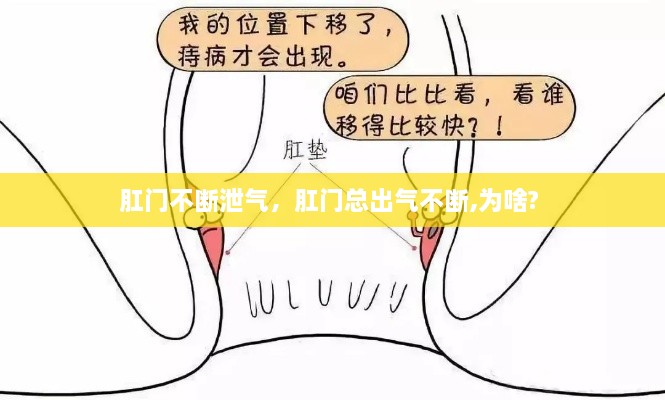 肛门不断泄气，肛门总出气不断,为啥? 