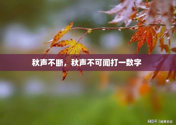 秋声不断，秋声不可闻打一数字 