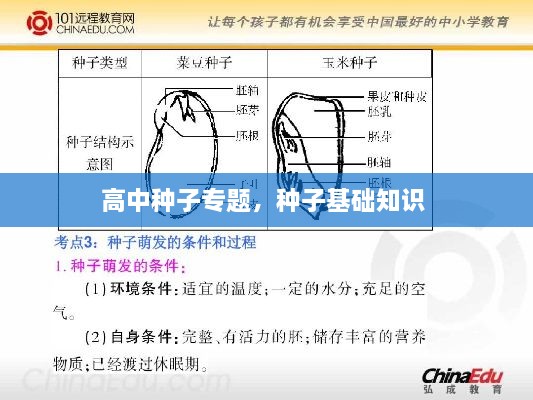 高中种子专题，种子基础知识 