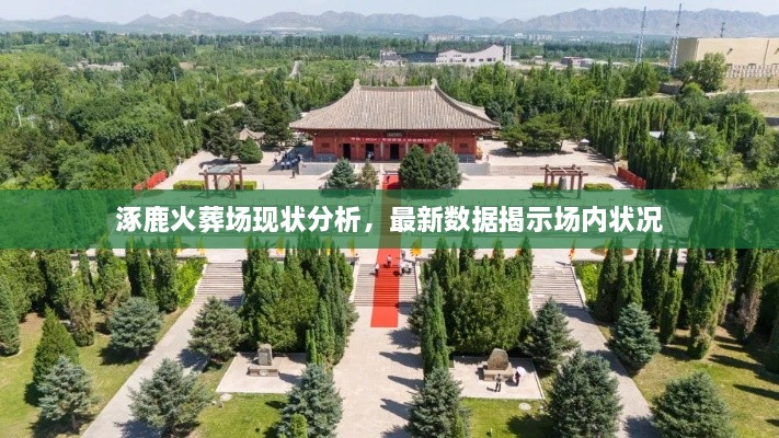 涿鹿火葬场现状分析，最新数据揭示场内状况
