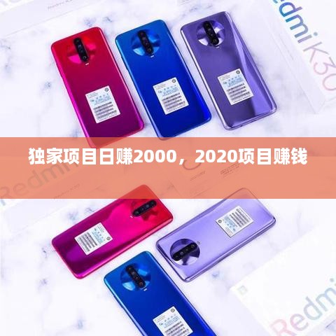 独家项目日赚2000，2020项目赚钱 