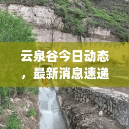 云泉谷今日动态，最新消息速递