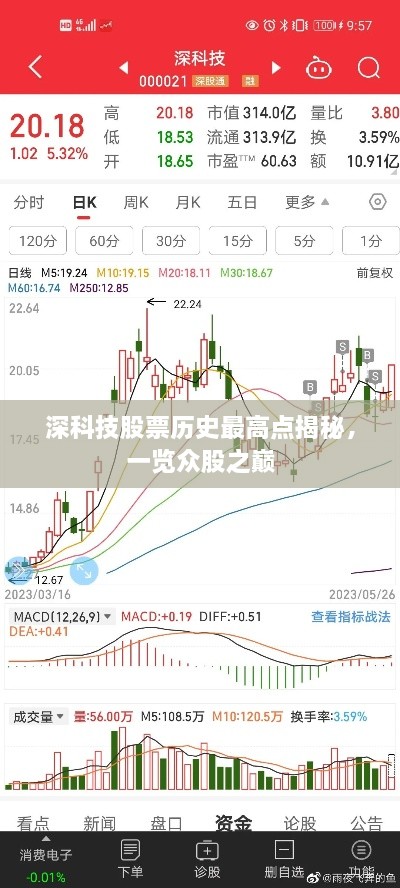 深科技股票历史最高点揭秘，一览众股之巅