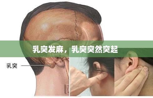 乳突发麻，乳突突然突起 