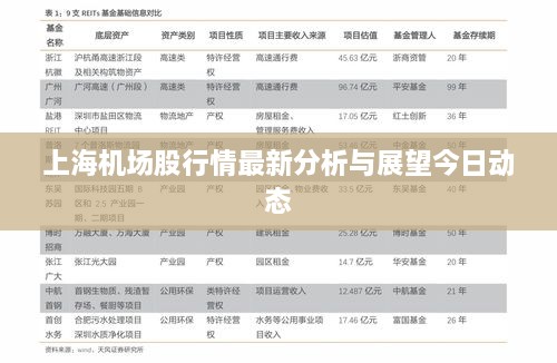 上海机场股行情最新分析与展望今日动态