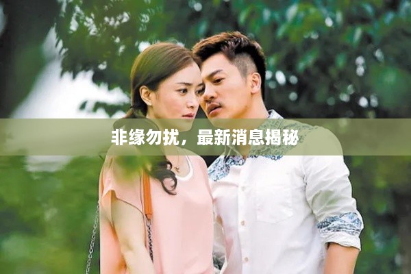 非缘勿扰，最新消息揭秘