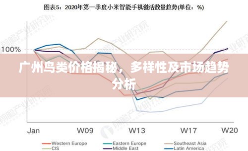 广州鸟类价格揭秘，多样性及市场趋势分析