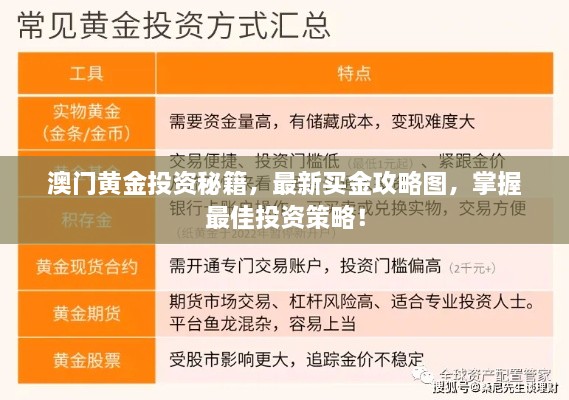 澳门黄金投资秘籍，最新买金攻略图，掌握最佳投资策略！