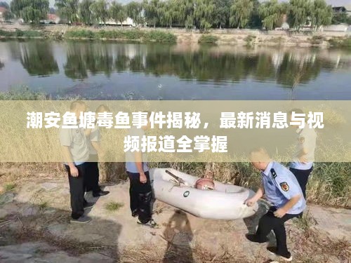 潮安鱼塘毒鱼事件揭秘，最新消息与视频报道全掌握