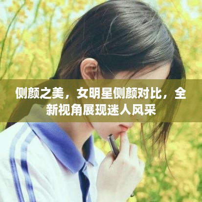 新闻动态 第3页