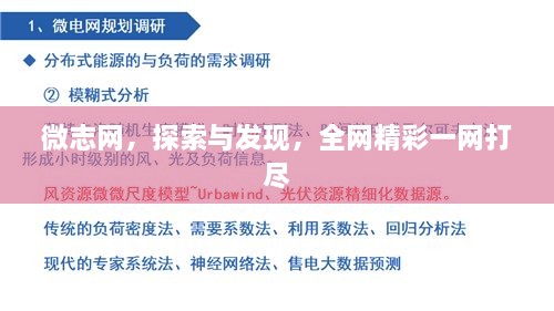 微志网，探索与发现，全网精彩一网打尽