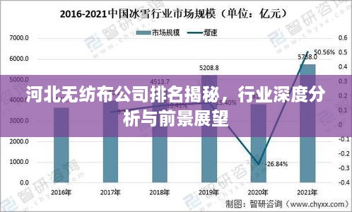 河北无纺布公司排名揭秘，行业深度分析与前景展望