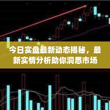 今日实盘最新动态揭秘，最新实情分析助你洞悉市场走势！