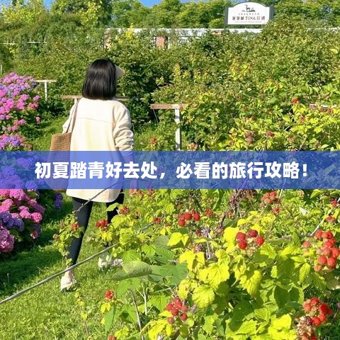 初夏踏青好去处，必看的旅行攻略！