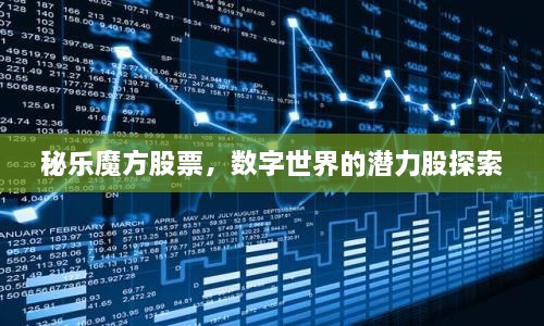 秘乐魔方股票，数字世界的潜力股探索