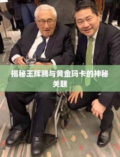 揭秘王辉腾与黄金玛卡的神秘关联