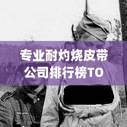 专业耐灼烧皮带公司排行榜TOP榜单揭晓！