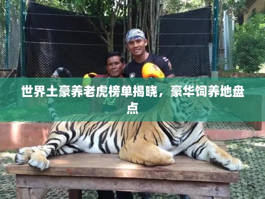 世界土豪养老虎榜单揭晓，豪华饲养地盘点